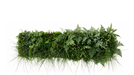 草葉｜背景なし・透過PNG・コピースペース