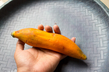 Fresh small papaya fruit similar to banana size, ripe and natural, isolated on clean background, tropical exotic fruit for healthy lifestyle concept.
December 13 2025
Pinrang, South Sulawesi Indonesia