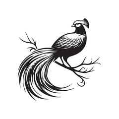 Golden Pheasant Silhouette Vector Art | Monochrome Black & White