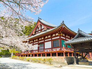 【奈良県】大和郡山市 矢田寺(金剛山寺) (2025/04/09撮影)