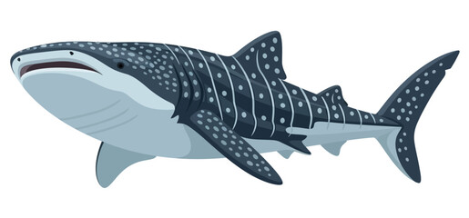 Whale Shark Illustration Gentle Giant of the Ocean Majestic Marine Wildlife