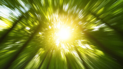 Obraz premium Blurred forest scene with bright sunbeam effects creating an ethereal atmosphere, showcasing nature's beauty and tranquility in a vibrant background