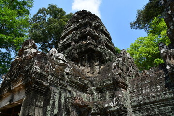 Fototapeta premium カンボジア シェムリアップ遺跡群 プリヤ・カーン