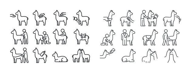 Fototapeta premium Stick figures interacting with llamas in various activities and