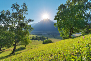 Tree and green grass hill in mountains during the sunrise.