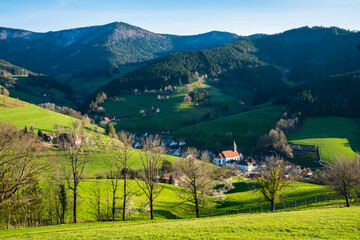 Germany, Elzach Yach beautiful black forest schwarzwald nature landscape panorama, green trees mountains hiking tourism destination