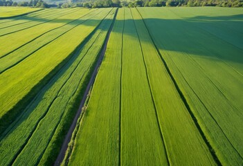 Majestic Palouse Scenery: Summer Grass and Water