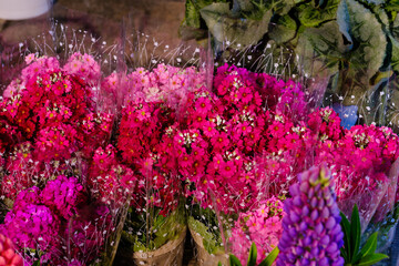 ドライブ途中の道の駅で見つけた立春の頃の色鮮やかな光景