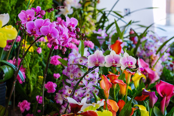 ドライブ途中の道の駅で見つけた立春の頃の色鮮やかな光景