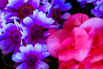 ドライブ途中の道の駅で見つけた立春の頃の色鮮やかな光景