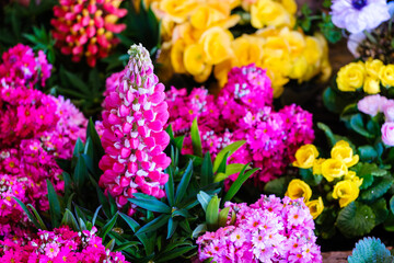 ドライブ途中の道の駅で見つけた立春の頃の色鮮やかな光景