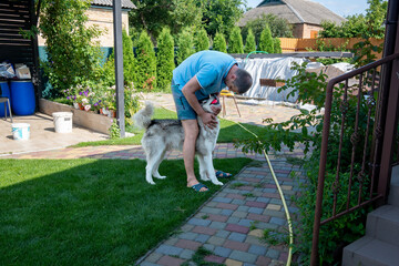 Happy man lovingly pets his fluffy husky dog holding a red ball in a sunlit backyard. A sweet moment of friendship and outdoor fun. © dizfoto1973