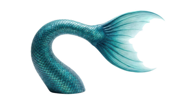 Isolated Realistic Blue Green Mermaid Tail with Textured Scales isolated PNG with Transparent Background