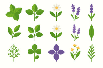 Obraz premium A set of 16 simple flat vector illustrations of medicinal and aromatic herbs and flowers (herbs and flowers icons). Stylized, with a clean design and bright colors on a white background.