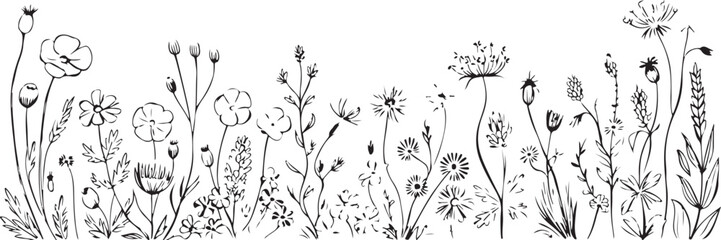 Wildflower meadow border vector silhouette with diverse natural plants and grass outline