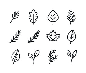 Forest Leaf Icon Set. Forest leaves. Line icon set of Forest lea