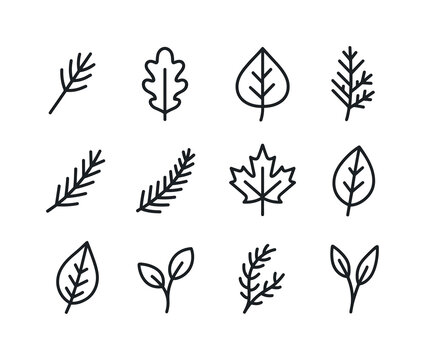 Forest Leaf Icon Set. Forest leaves. Line icon set of Forest lea