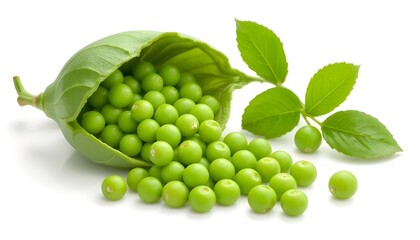 Isolated on a clear background, fresh, vivid green peas flow from an open pod opposite a closed full pod and natural pea leaves.