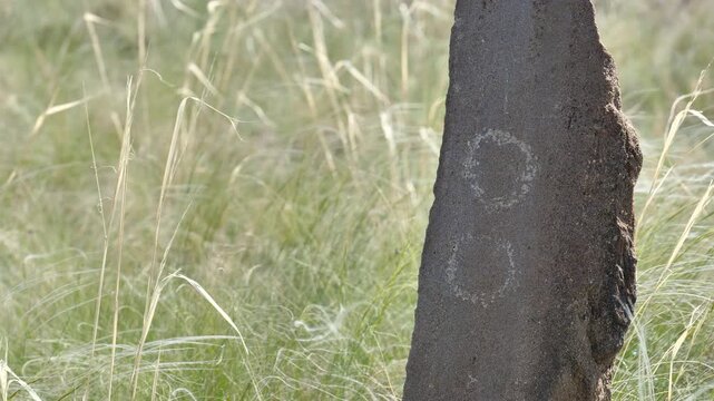 Stone tombstone of nomadic tribes.