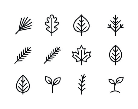 Forest Leaf Icon Set. Forest leaves. Line icon set of Forest lea