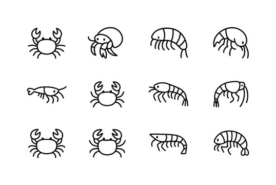 Small Crustacean Icons. Small crustaceans. Line icon set of smal
