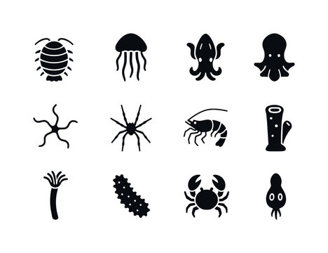 Deep-Sea Invertebrate Icons. Deep-sea invertebrates. Solid icon