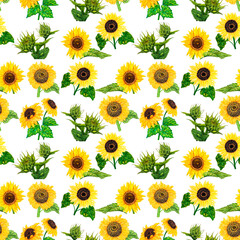 seamless pattern with sunflowers