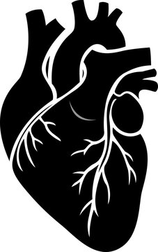 Vector illustration of hearth organ