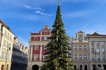 Obraz premium Christmas tree decorated for Christmas in the market square in Poznan