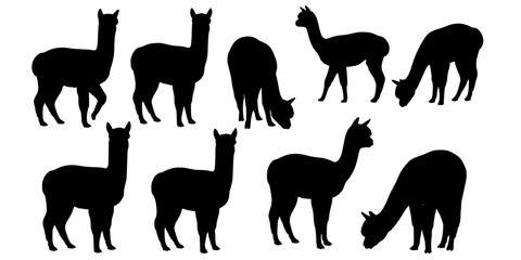 Obraz premium Adorable alpaca silhouettes collection farm animals.