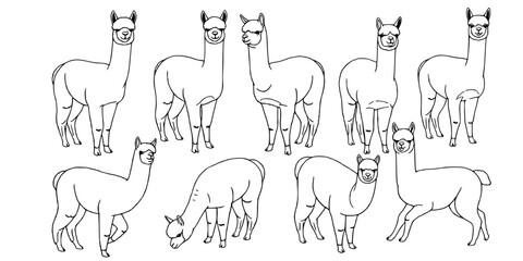 Obraz premium Adorable alpaca silhouettes collection farm animals.