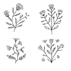 Delicate Botanical Line Art – Minimal Floral Sketches