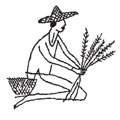 Minimalist Line Art Illustration of a Person Gathering Plants