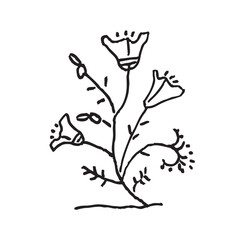 Delicate Wildflower  Minimal Line Art Botanical Sketch