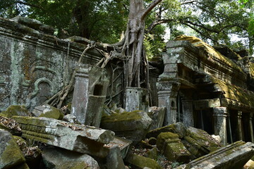 Obraz premium カンボジア シェムリアップ遺跡群 タ・プローム 