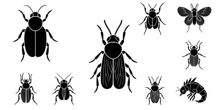 Black insect and creature icons on white
