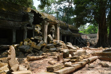 Naklejka premium カンボジア シェムリアップ遺跡群 タ・プローム 