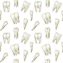 Watercolor hand-drawn seamless pattern with realistic teeth - incisors, canines, molars, premolars. Tooth clip art isolated on transparent background. Dental, medicine, health concept design elements.