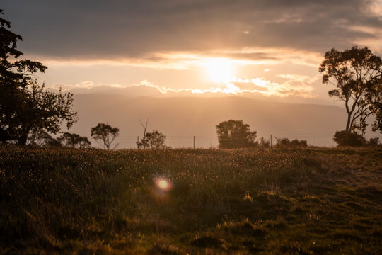 a beautiful australian farming landscape in tasmania