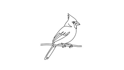 Minimalist Line Art Drawing of a Cardinal Bird on a Branch