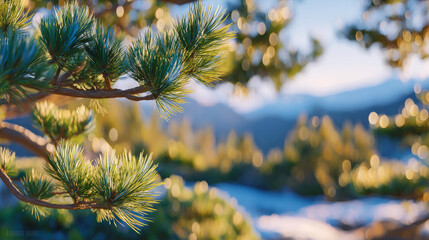 Pine needle branch in sharp focus, background forest softly diffused with golden sunlight bokeh, serene and harmonious natural atmosphere