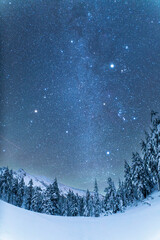 Vertical Fisheye shot of Winter Milky Way, Winter Triangle, Jupiter and Venus over snowy forest at Crater Lake National Park © hibaRi