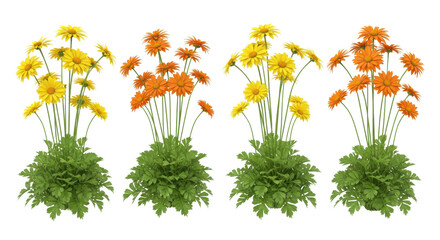 Isolated 3D render of four yellow and orange Gerbera daisy flower plants