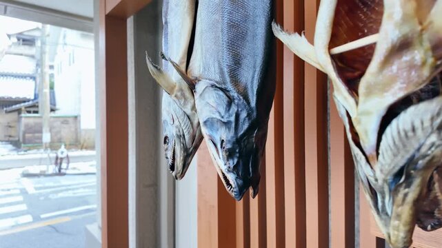 Salted salmon hanging from the eaves