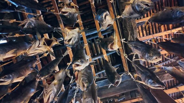 Japanese house with hanging salted salmon