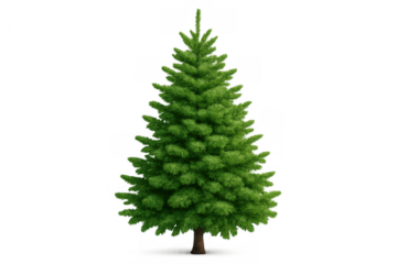 Christmas tree with green needles on a transparent background, symbolizing winter holidays and festive celebrations