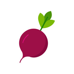 vector clip art beetroot on white background for web and graphic design