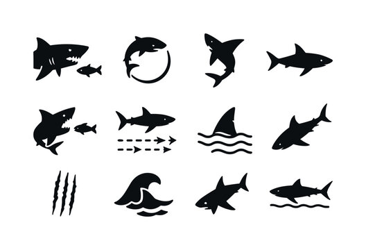 Shark Behavior Icons. Shark behavior. Solid icon set of Shark be