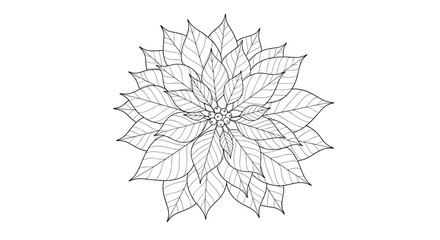 Obraz premium Intricate geometric flower illustration showcasing layered pointed leaves arranged in a circular mandala design suitable for coloring pages and art projects.