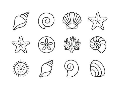 Seashell Line Icons. Seashells. Line icon set of Seashells: conc